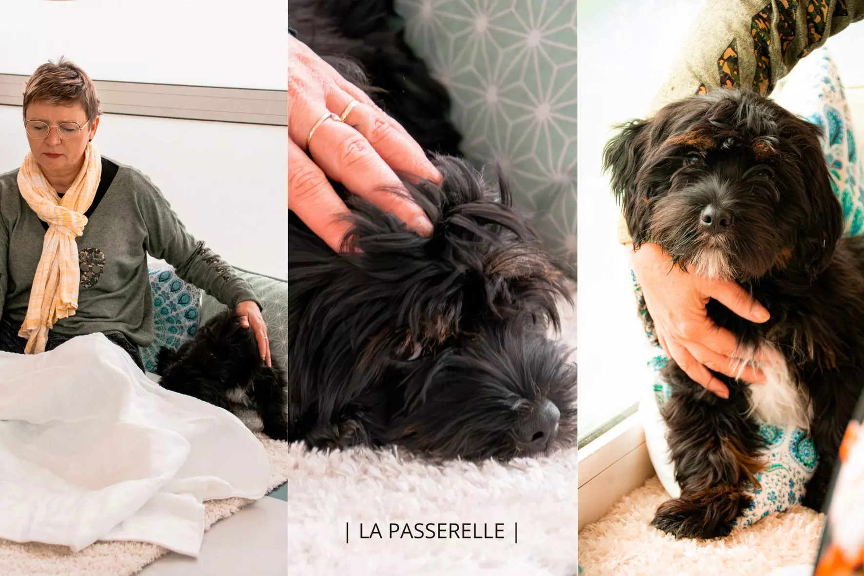 Soin Reiki animal ou communication animale avec La Passerelle