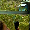 Image 5: Wild West Ghost Town & River Adventures