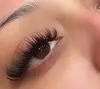 Get Stunning Classic or Hybrid Lash Extensions for a Glamorous, Eye-Catching Look at Luxurybylia. Save Up to 55%
