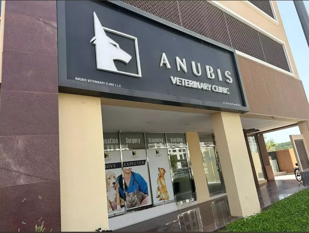 Male/Female Cat or Small Breed Dogs (up to 5 kg) Castration or Spaying