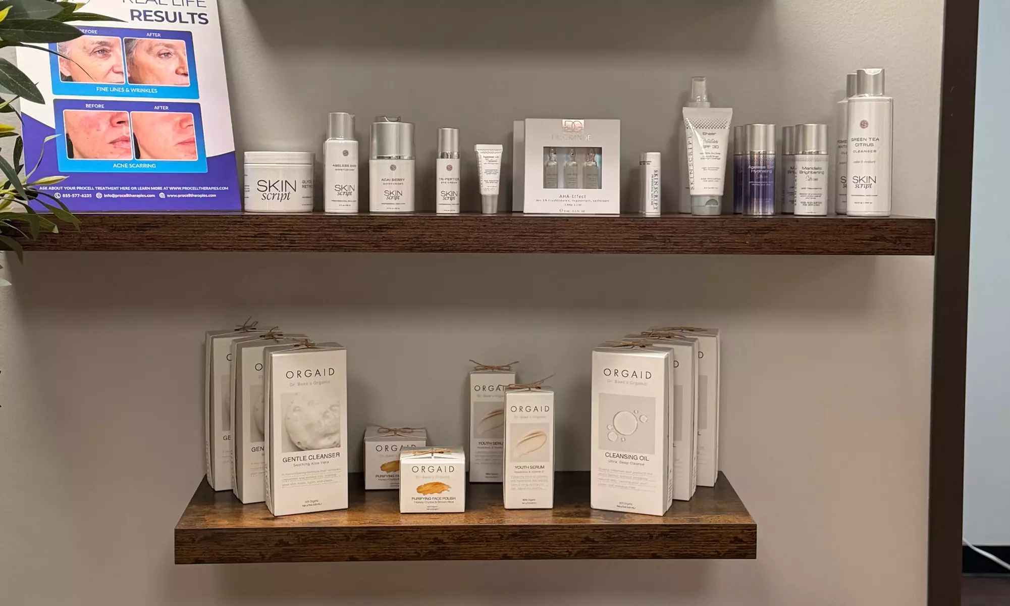 Women's Hair Cut, Wash, Style w/ Deep Conditioning Treatment or Shine