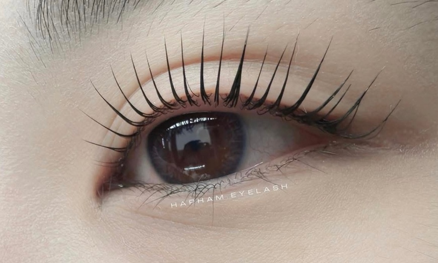 Image 3: Brow Lamination, Wax & Tint or Lash Lift & Tint Options