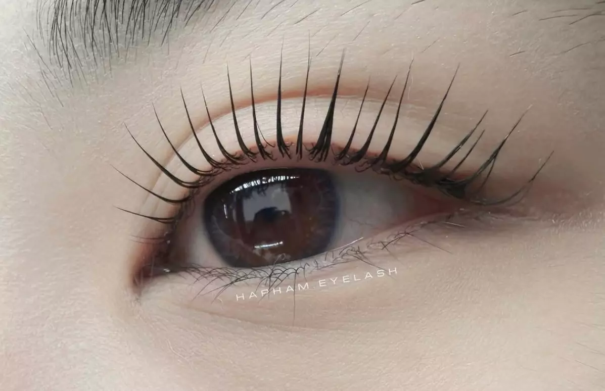 Brow Lamination, Wax & Tint or Lash Lift & Tint Options