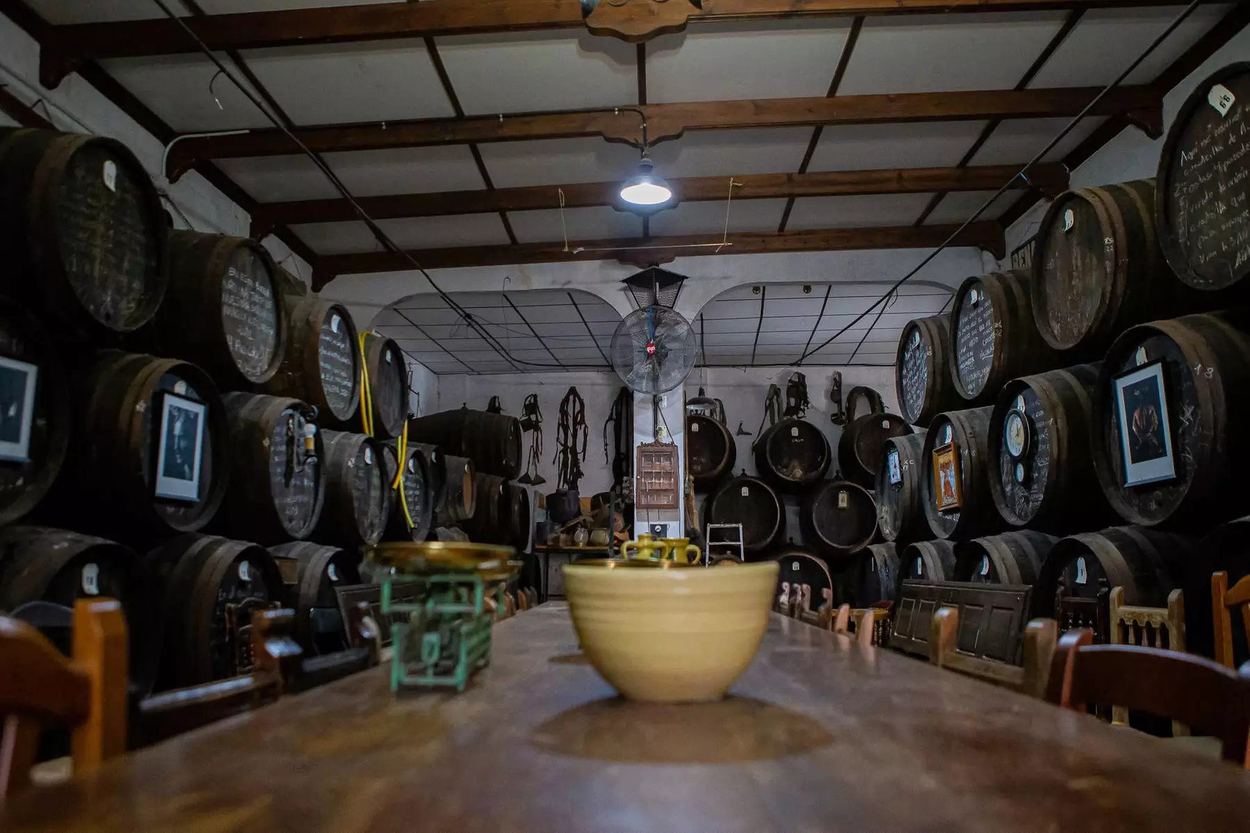 Visita a la bodega con cata de vinos y maridaje para 2 o 4 personas con hasta 54%de descuento