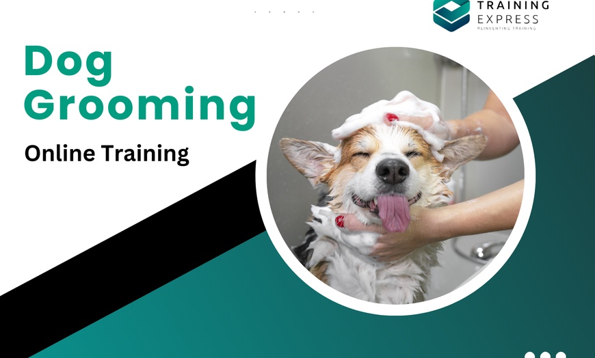 Image 1: Formation en toilettage pour chiens et plus de 2000 autres
