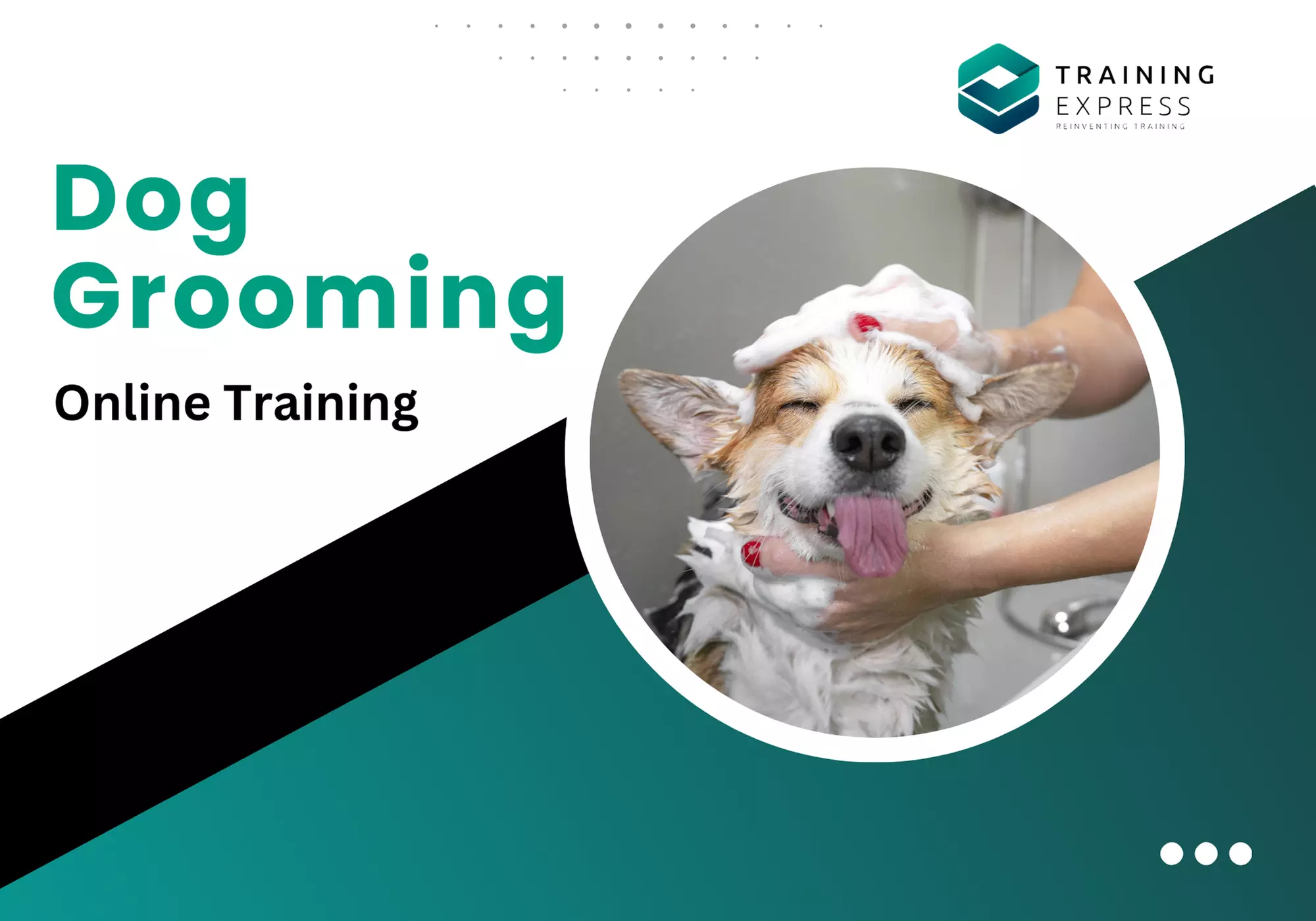 Formation en toilettage pour chiens et plus de 2000 autres, certificat inclus (jusqu'à 50% de remise) - Primary Image