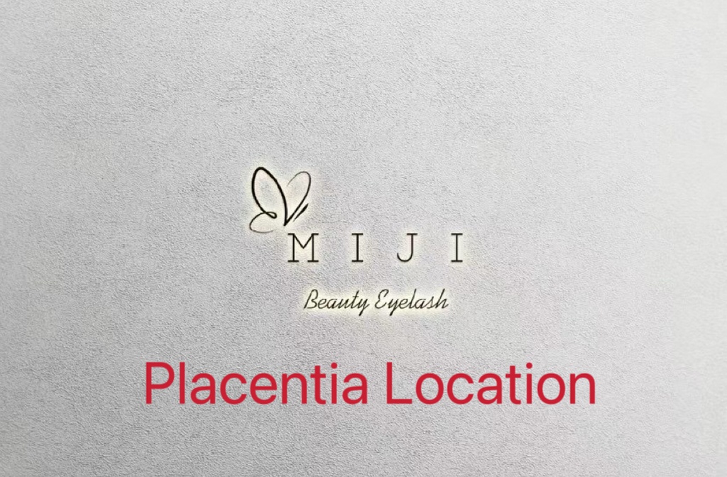 Get Transformations with Full Set Classic or Y Mink Eyelash Extensions