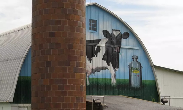 What to expect media