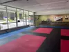 Up to 72% Off on Kids Fitness Classes at Ultimate Success Karate