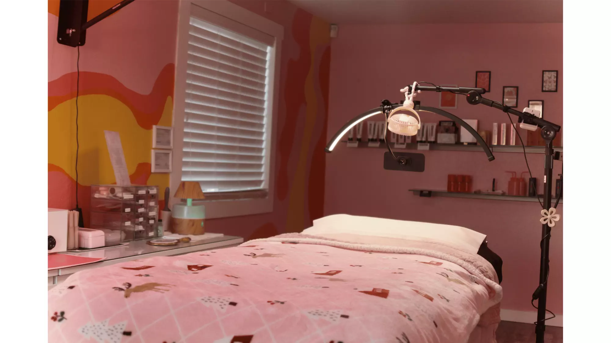 Transform Your Look with Full Set Lash Extensions or a New Client Fill