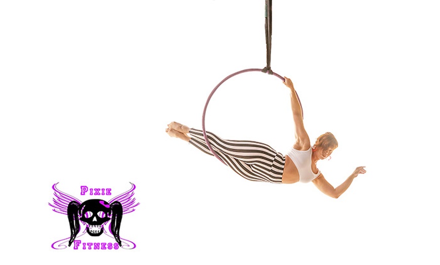 Image 4: Pole Dancing and Ariel Fitness Classes for a Dreamy Workout Mid-Air