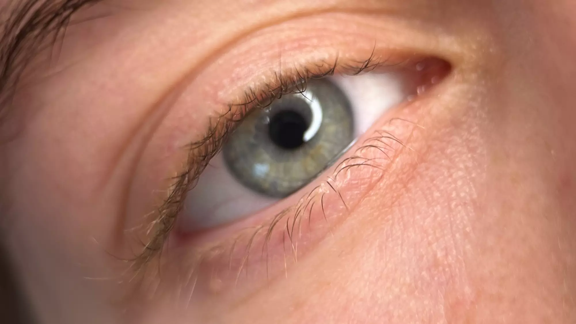 One Eyelash Lift Treatment with Optional Tint at Lash & Brow Glow