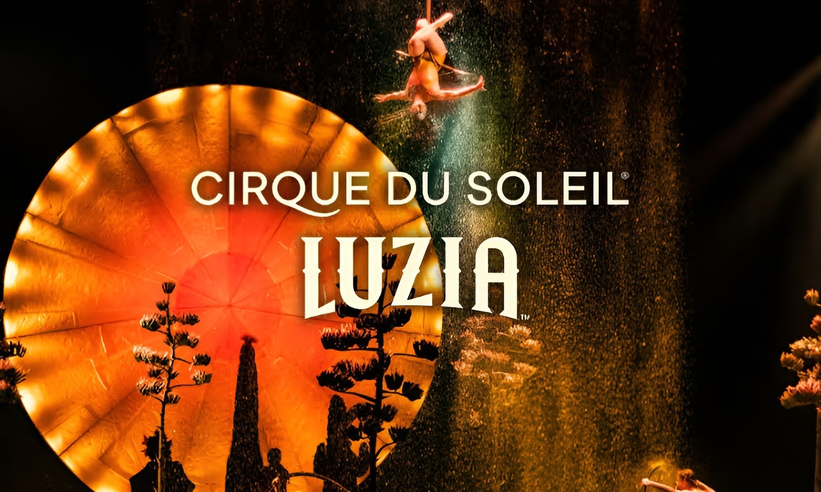 Cirque du Soleil 2026: LUZIA - Up to 15% Off