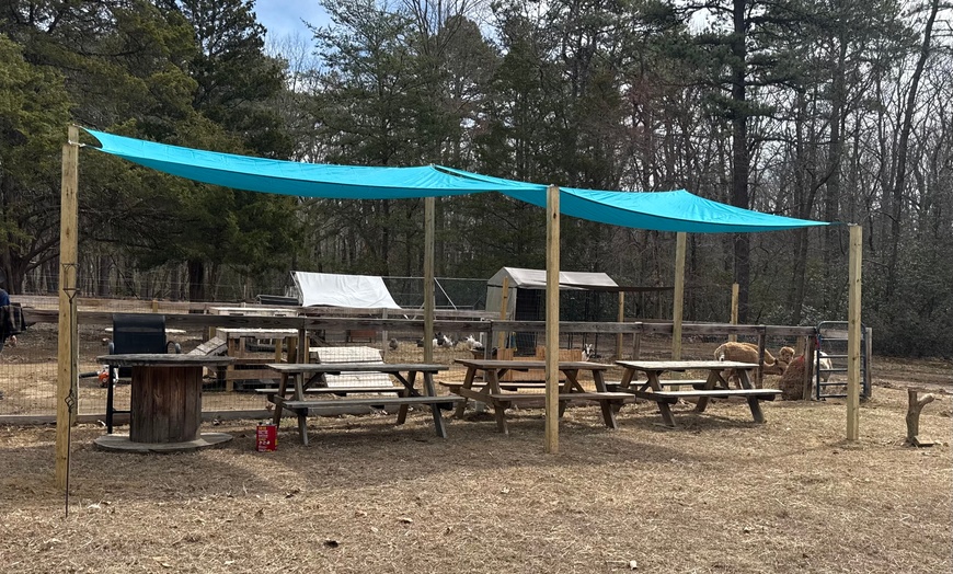 Image 4: Up to 50% Off on Party Hall at EZ's Rescue Ranch