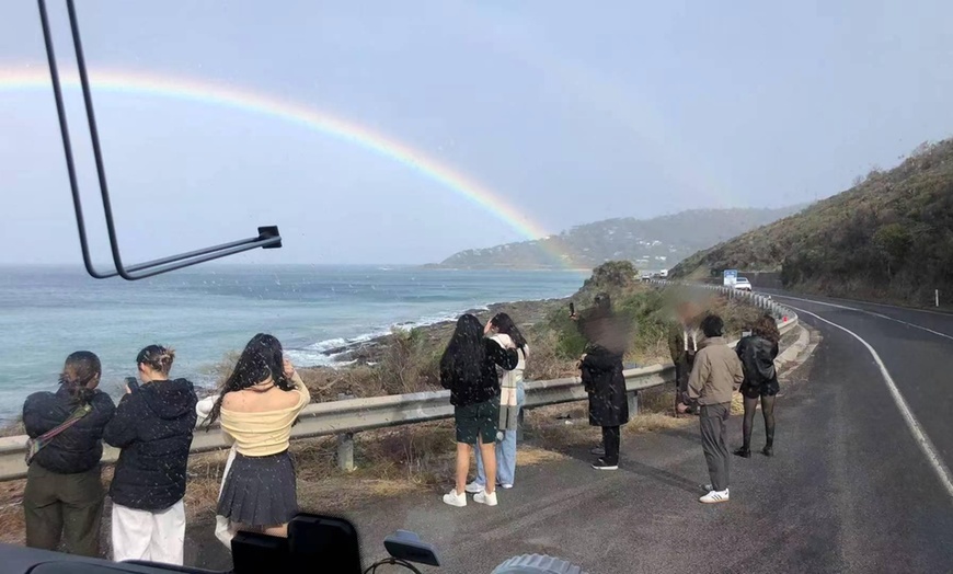 Image 10: Great Ocean Road Extended Tour - Top Stops & London Bridge; Up to 39% Off