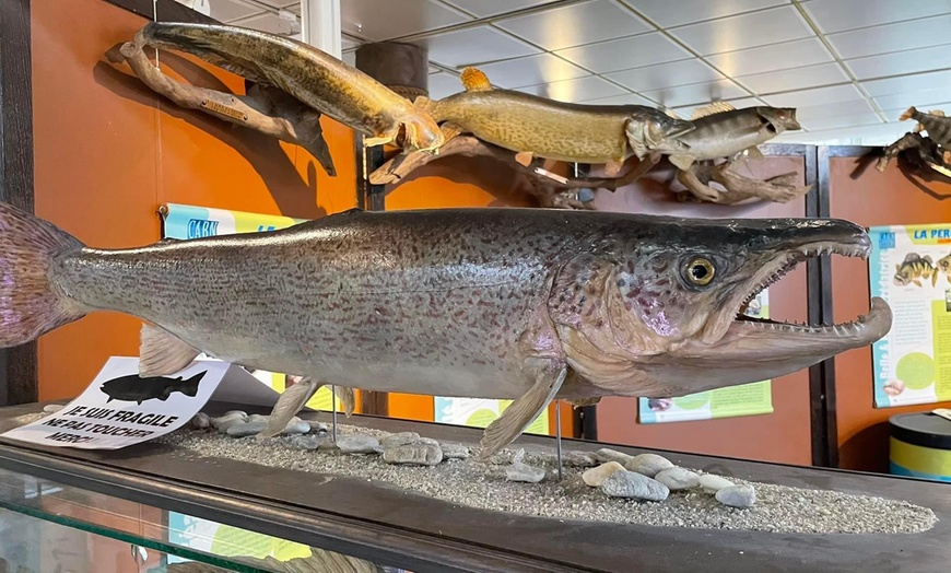 Image 8: Entrée pour la Maison de la Pêche et de la Nature de Levallois