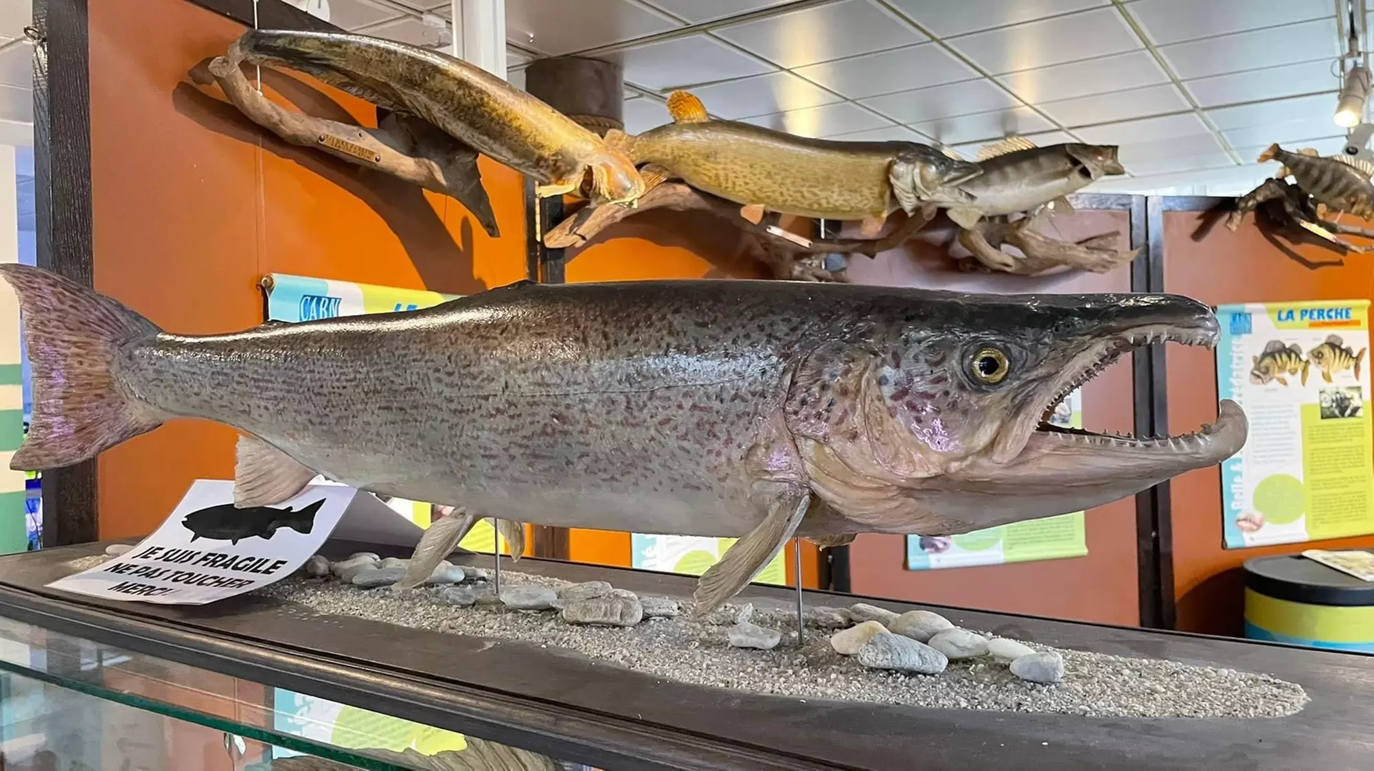 Entrée pour la Maison de la Pêche et de la Nature de Levallois