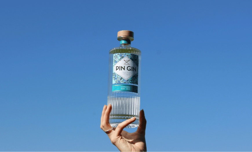 Image 2: Enjoy a Gin School Experience for One, or Two