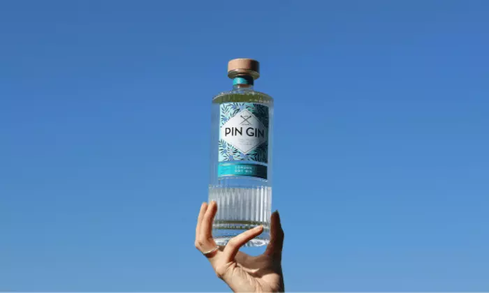 Enjoy a Gin School Experience for One, or Two