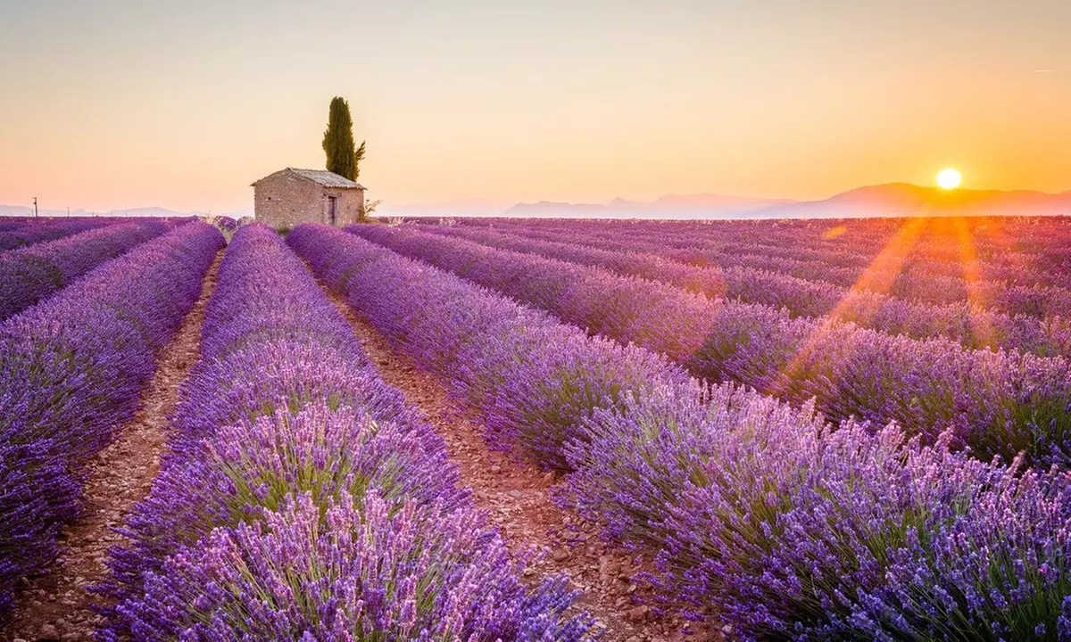 Transfert aéroport en Tesla ou circuit privé sur la Côte d’Azur