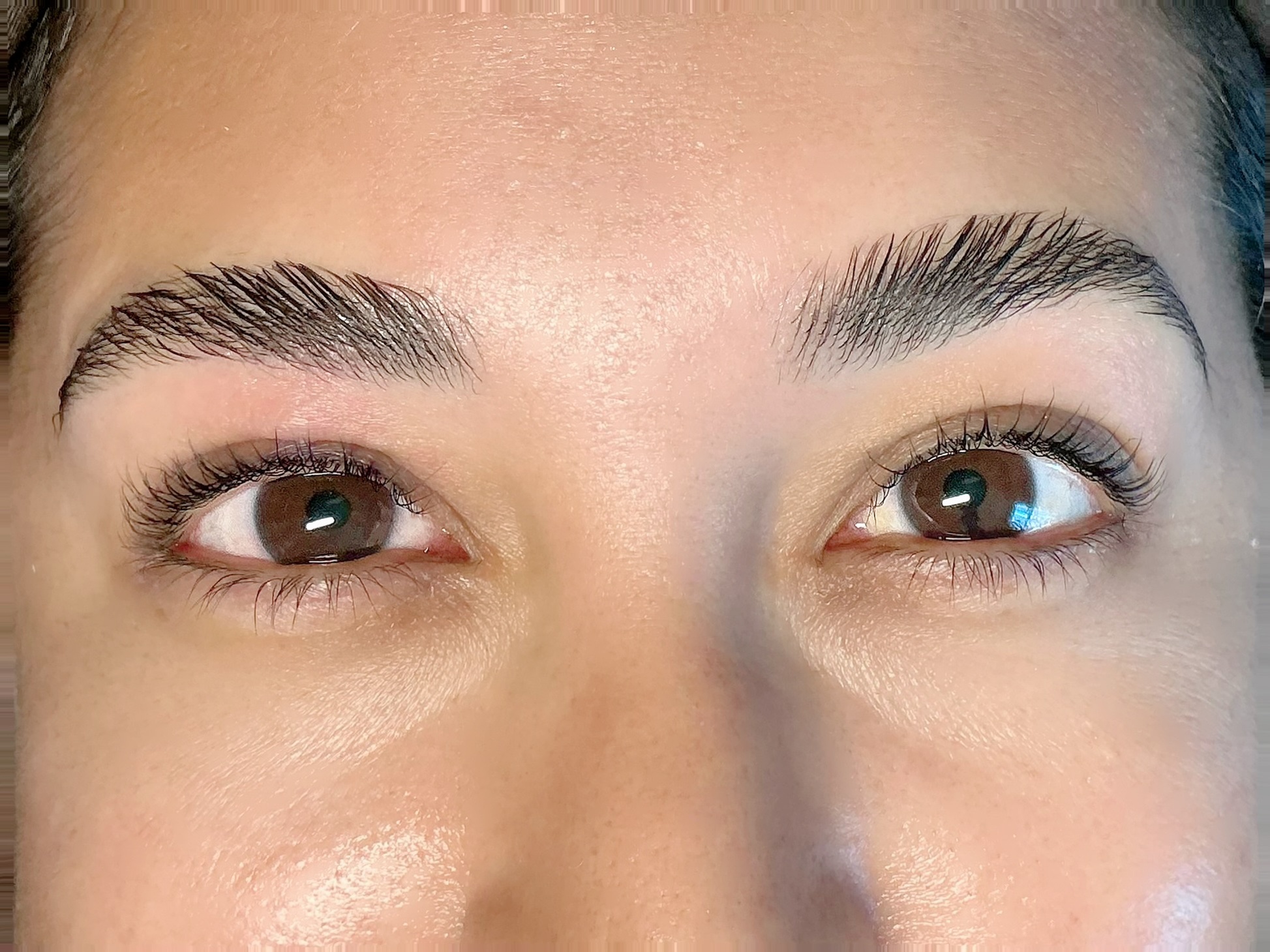 Perfect Eyebrows with One Eyebrow Lamination, tint & wax