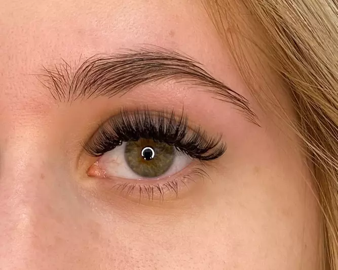Up to 40% Off on Eyelash Extensions at Elegant Features - Primary Image