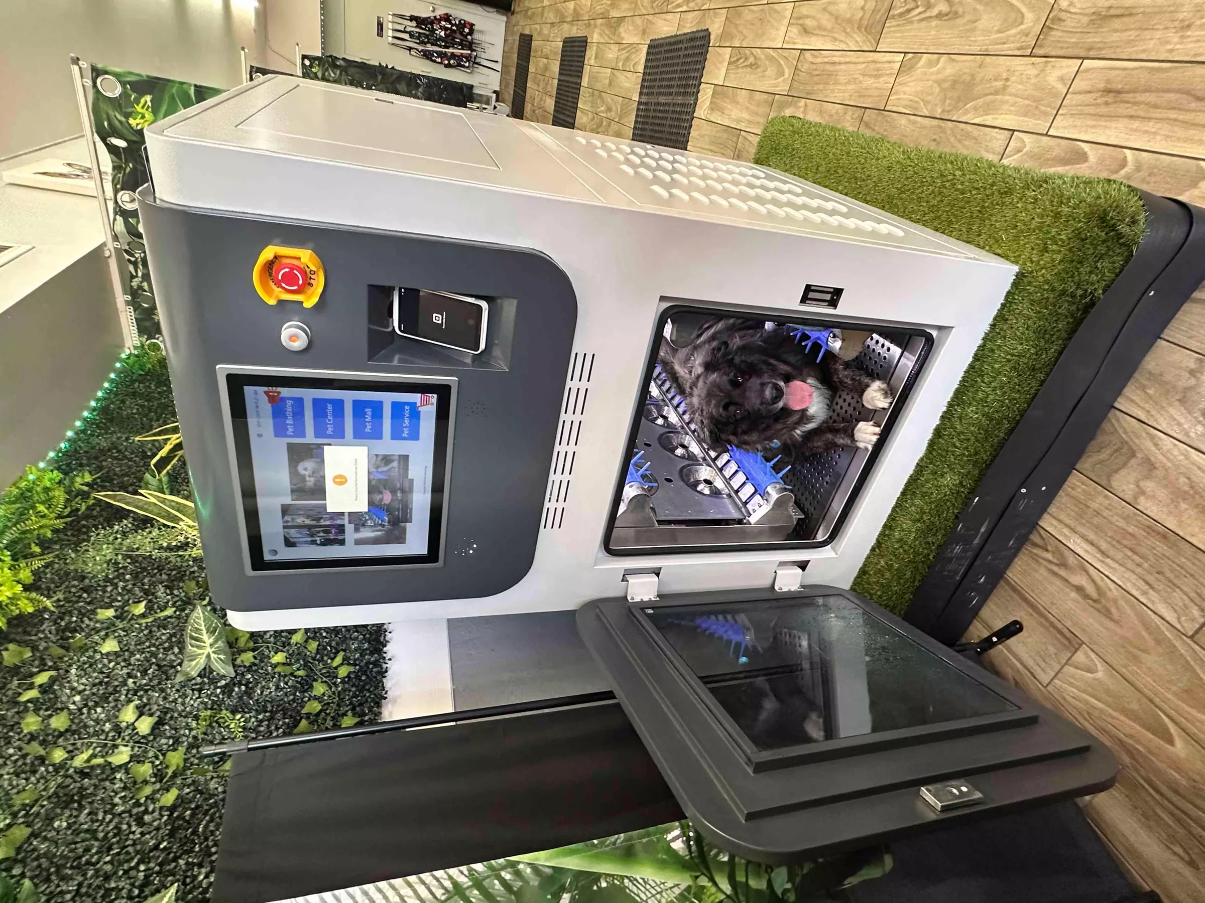 Up to 60% Off on Pet Grooming at Paws 48