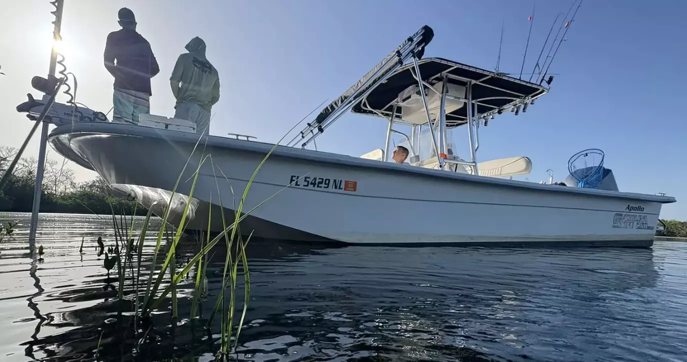Guided Manatee Tour w/ All Gear, Mask, Suit & In-Water Equipments