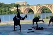 Two Months of Unlimited Boot Camp Classes for $39 - Second Medium