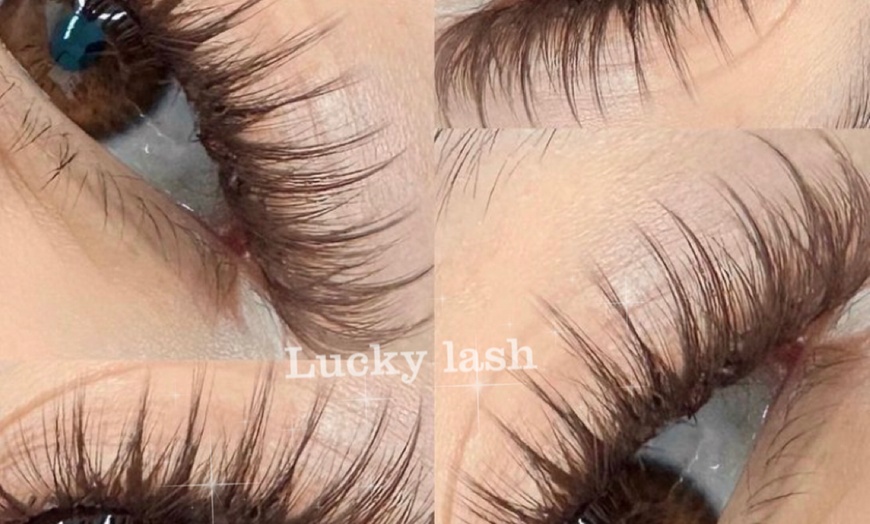 Image 8: Lash Lift & Tint, Brow Lamination, or Eyelash Extensions (3 Styles)