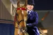 Up To 48% Off On Saddle Seat Riding with Two, Four, or Eight Horse Back Riding Lessons - Second Medium