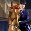 Image 2: Up To 42% Off On Saddle Seat Riding with Two, Four, or Eight Horse Back Riding Lessons 