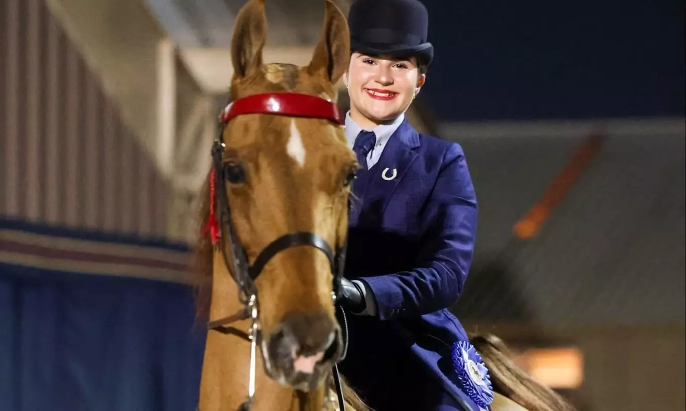 Try Saddle Seat Riding with 2, 4, or 8 Horse Back Riding Lessons 