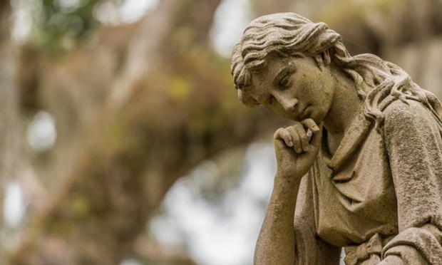 What to expect media