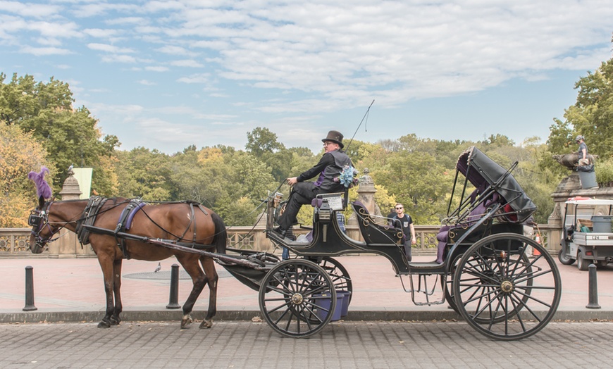 Image 9: Discover NYC Fancy Rides' enchanting 45-minute Central Park horse carriage tour, offering up to 24% off for a nostalgic journey.