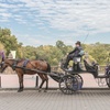 Image 8: Central Park Horse Carriage Tour – NYC