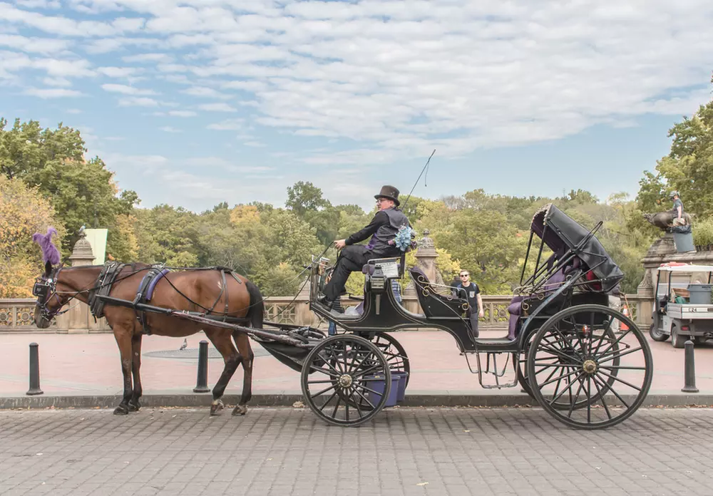 Discover NYC Fancy Rides' enchanting 45-minute Central Park horse carriage tour, offering up to 24% off for a nostalgic journey.