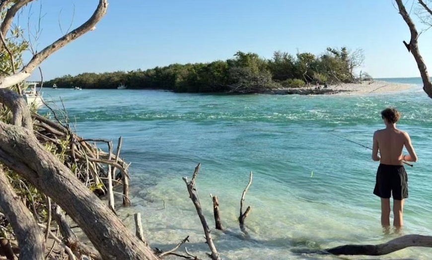 Image 7: Kayak & Paddleboard Rentals – Siesta Key Adventures