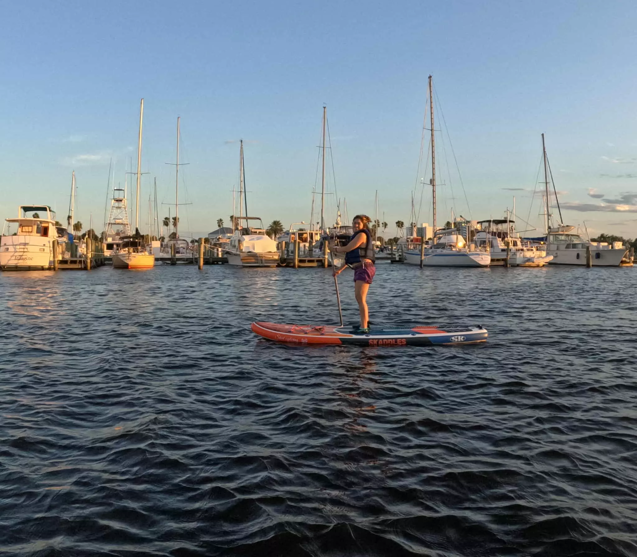 Daytona Beach Dolphin Day Tour - Up to 39% Off on Paddleboarding at Pirate Bay Paddle
