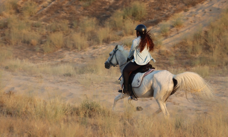 Image 3: Al Madam 2 Stables, 45-minute horse riding lesson