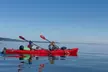 Discover Nature with Three-Hour Point Doughty Kayak Tour at Orcas Wild (Up to 24% Off) - Second Medium