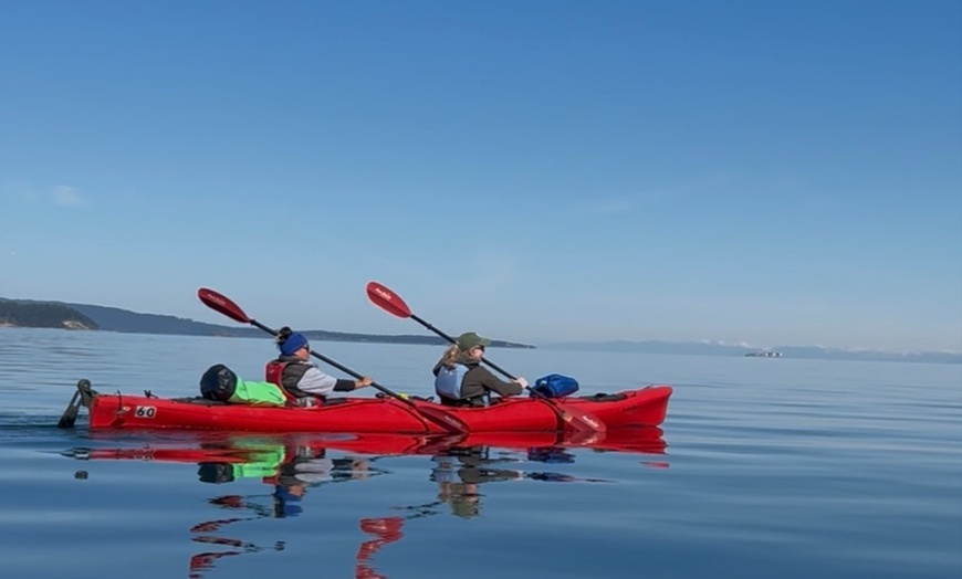 Image 3: Discover Nature with Three-Hour Point Doughty Kayak Tour at Orcas Wild (Up to 24% Off)