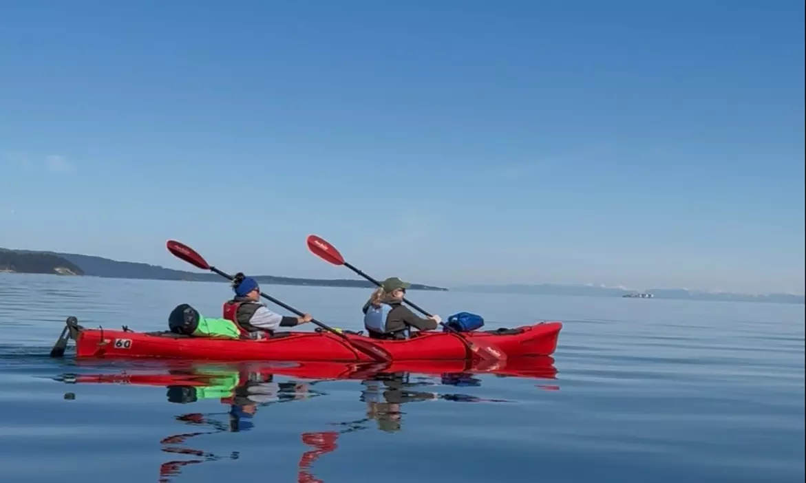 Explore with Orcas Wild: Three-hour Point Doughty Kayak Tour