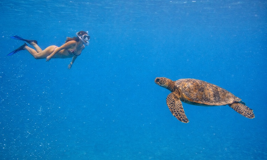 Image 2: Private Waikiki Boat Charter – Customizable Ocean Fun in Honolulu, HI