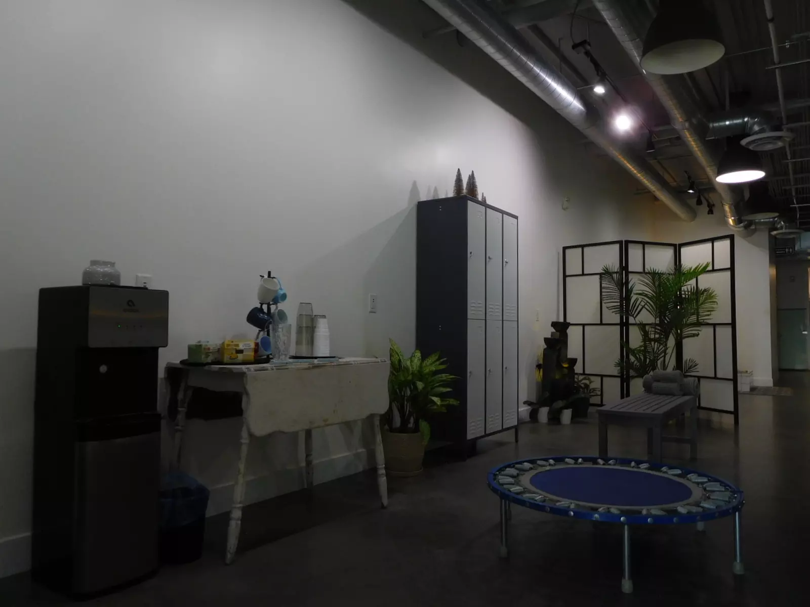 Private Infrared Sauna or Communal Traditional Sauna