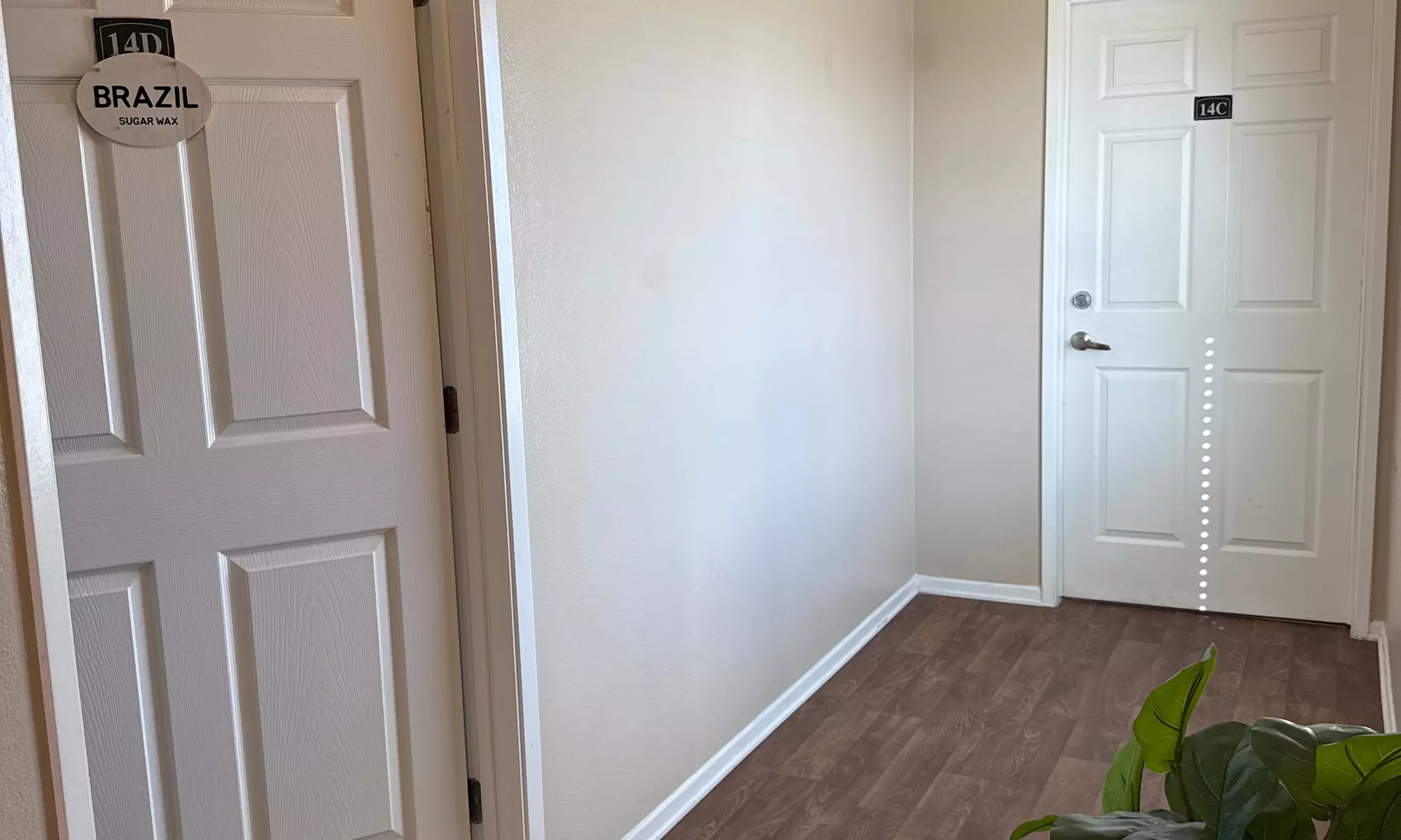 Up to 54% Off on Sugaring at Brazil Sugar Wax