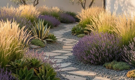 30-Minute Virtual Landscape & Garden Consultation - Wild Wing and Bloom