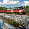 Image 3: Scenic Cape Cod Train Tour: Come Solo or Bring Partner & Friends