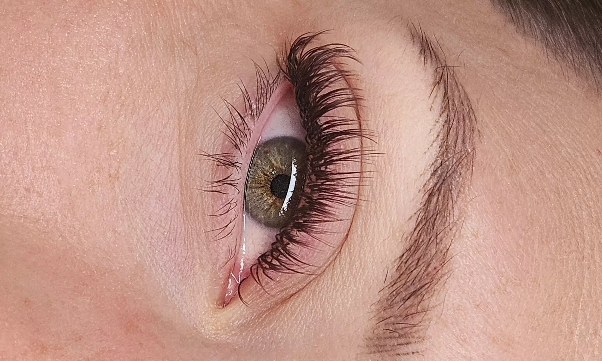 Get Classic, Hybrid, Angel, or Russian Lash Extensions