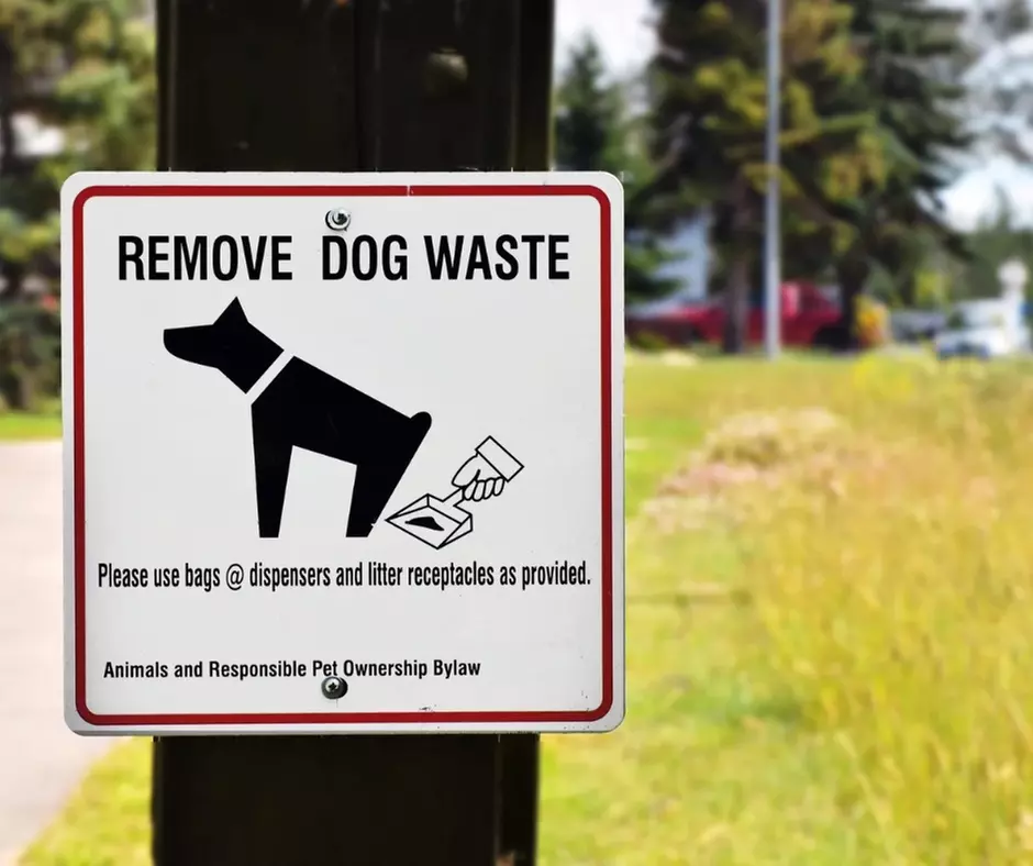 Monthly Subscription: Pet Waste Removal for Up to 2,000 Sq. Ft.